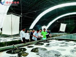 海上粮仓建设“加速跑”，为发展新动能注入金融活水