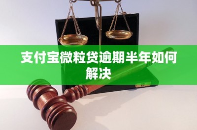 解决支付宝微粒贷逾期半年的困境 应对策略与担保角色解析