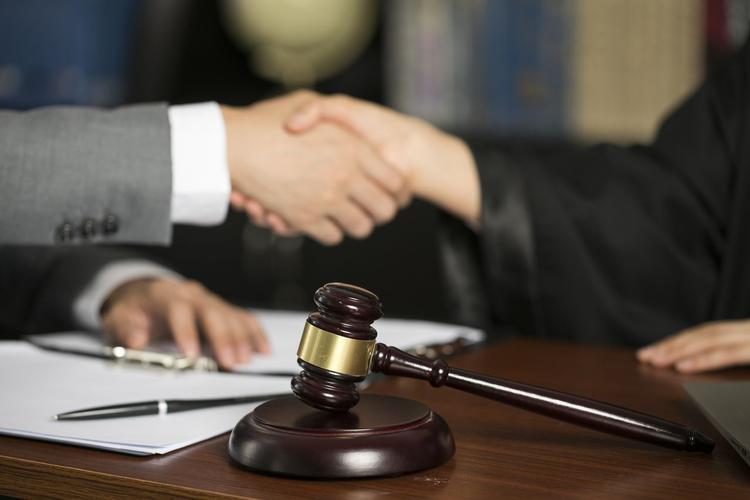 担保法解析 担保制度的关键要点与实务应用